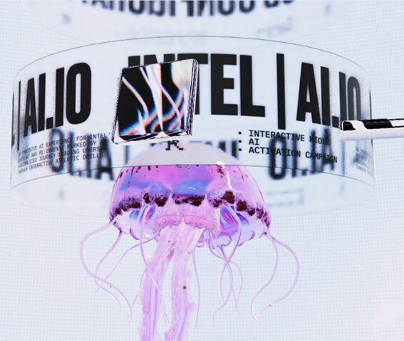 Websites &amp; Mobile Sites